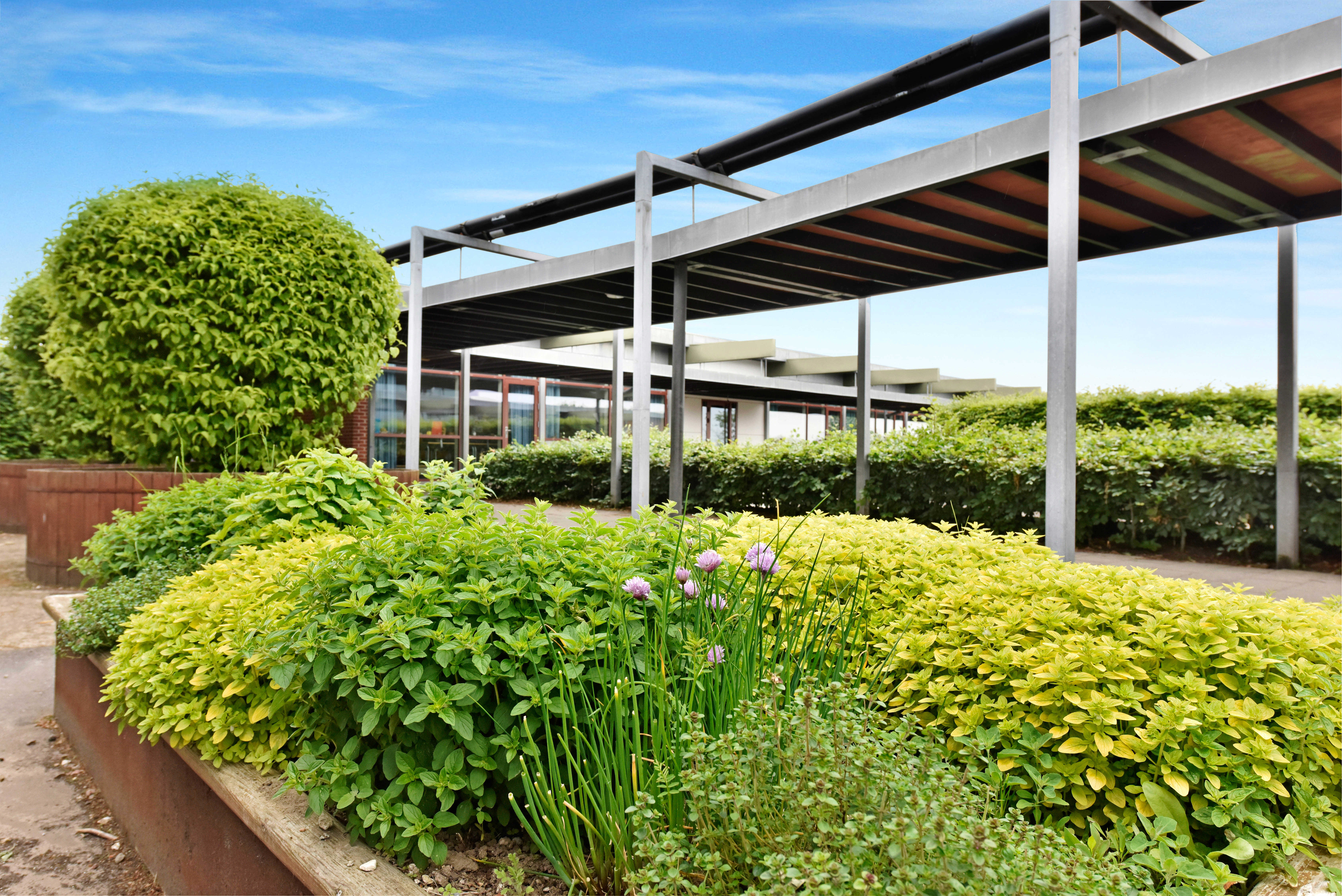 Planter på Munkholmskolen